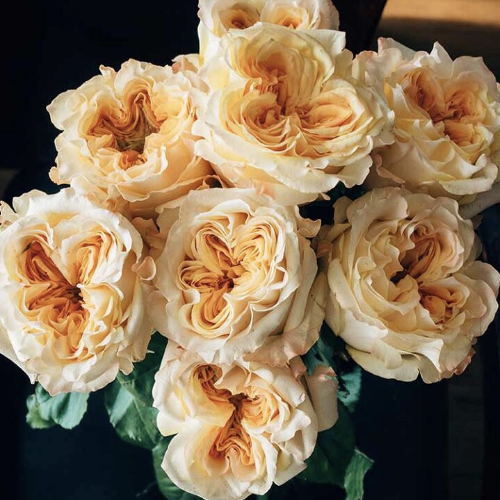 Веддинг Экспрешн  (Wedding X-Pression) в Екатеринбурге