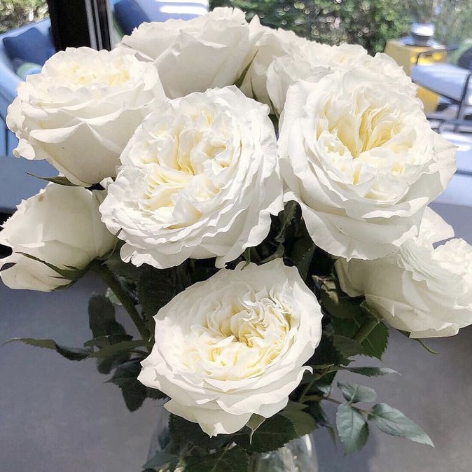 Майра Вайт  (Mayra’s White) в Екатеринбурге