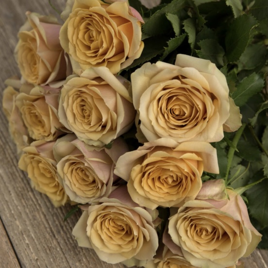 Голден Мустард (Golden Mustard) в Екатеринбурге